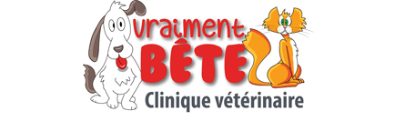 Vraiment Bête